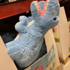 【100日ブログ10期4日目】珍道中‼︎千葉に行ってきました