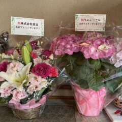 【100日ブログ10期8日目】ukiukiマルシェ・ありがとうございました！